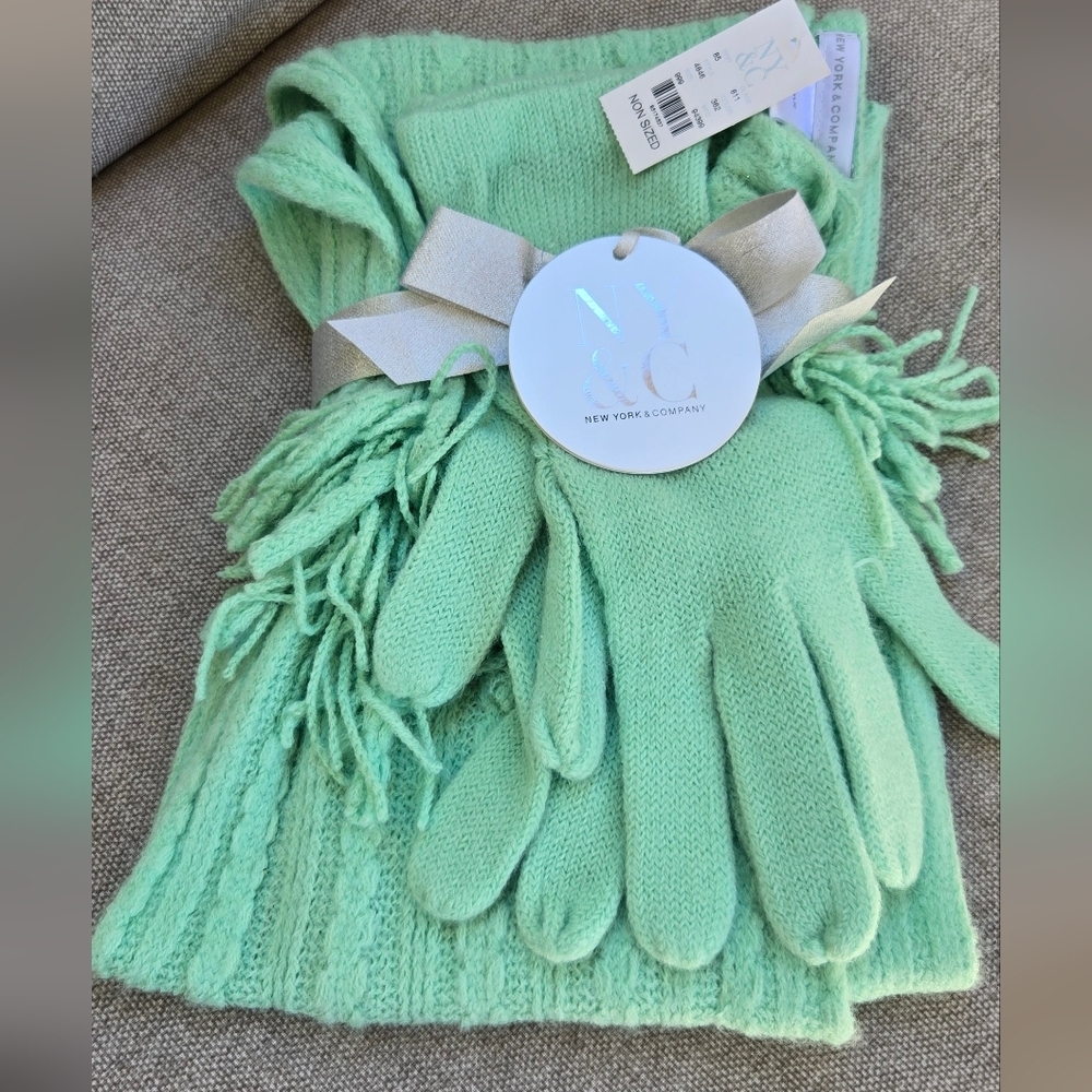 New York & Company Mint Green Scarf And Glove Gift Set